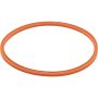 Genuine OEM Fuel Pump Tank Seal 16119800700