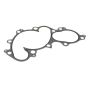 Genuine OEM 1627162011 Water Pump Gasket