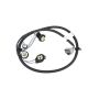 Genuine OEM Part Taillight Wiring Harness 16531401