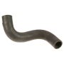 Genuine OEM Radiator Hose 165720V020