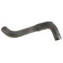 Genuine OEM Radiator Hose 165730H020