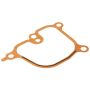 Genuine OEM Intake Plenum Gasket 17175P5A004