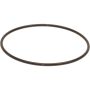 Genuine OEM Fuel Pump Tank Seal 173425M047
