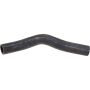 Genuine OEM 195016C1A01 Radiator Hose