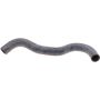 Genuine OEM Radiator Hose 195025BAA00