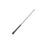Genuine OEM Antenna Mast 1J0035849F