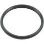 Genuine OEM Thermostat Seal / O-Ring 21049ED00A