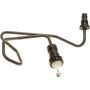 Genuine OEM Clutch Hose 21526765790