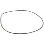Genuine OEM 24311219166 AT Front Pump O-Ring