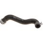 Genuine OEM Cooling Hose 2465010458