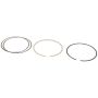 Genuine OEM Piston Ring Set 30731512