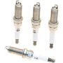 Genuine OEM Spark Plug Set 32290011