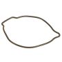 Genuine OEM Oil Pump Seal 3C3Z6619FA