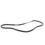 Genuine OEM 3C3Z8620DB Accessory Belt