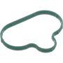 Genuine OEM Intake Manifold Gasket 3F1Z9439AA