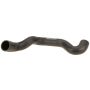 Genuine OEM Radiator Hose 4635010684