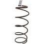 Genuine OEM Coil Spring 482316A740
