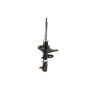 Genuine OEM Strut Assembly 4851074081