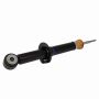 Genuine OEM 4L3Z18124BB Shock and Strut