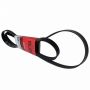 Genuine OEM 4L5Z8620EA Accessory Belt