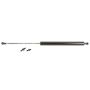 Genuine OEM Hood Strut 5344029065