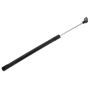 Genuine OEM 55136965AE Liftgate Glass Support