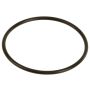 Genuine OEM FI Throttle Body O-Ring 5958764