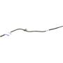 Genuine OEM Oil Dipstick Tube 5L1Z6754BA