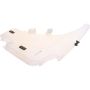 Genuine OEM Washer Reservoir 61667238666