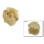 Genuine OEM Bulb Socket 63211374043