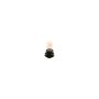 Genuine OEM Tail Light Bulb 63217954459