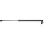 Genuine OEM Hatch Strut 63260AL03B