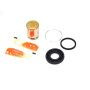 Genuine OEM 68020255AB PISTON KIT, Disc Brake Caliper