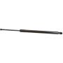 Genuine OEM Hatch Strut 689600R020
