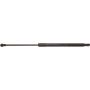 Genuine OEM Hatch Strut 689600W252