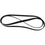 Genuine OEM 6E5Z8620C Accessory Belt