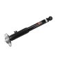 Genuine OEM Shock and Strut 84326296