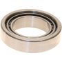 Genuine OEM Differential Bearing 9036650001