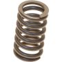 Genuine OEM 90501A0031 Exhaust Spring