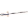 Genuine OEM Rivet 910002004122