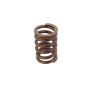 Genuine OEM Valve Spring 9135130