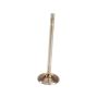 Genuine OEM Intake Valve 99610511105
