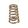 Genuine OEM Valve Spring 99610511801