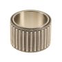 Genuine OEM MT Needle Bearing 99920122504