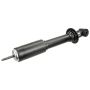 Genuine OEM AA2Z18125A Shock and Strut