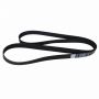 Genuine OEM AC3Z8620B Accessory Belt
