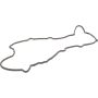 Genuine OEM Valve Cover Gasket AJTM102D5