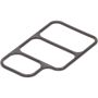 Genuine OEM Idle Control Valve Gasket B55113W89