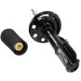 Genuine OEM BB5Z18124B Shock and Strut
