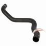 Genuine OEM BB5Z8286G Radiator Hose
